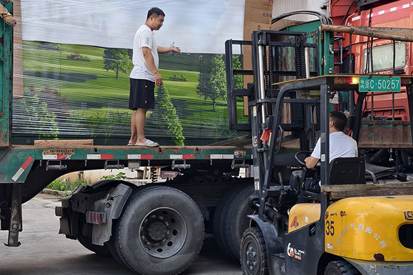 State ECCERNUS Henan MMXXV Project Perficitur